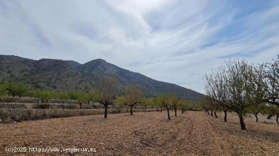 Se Vende en Algueña - ALICANTE