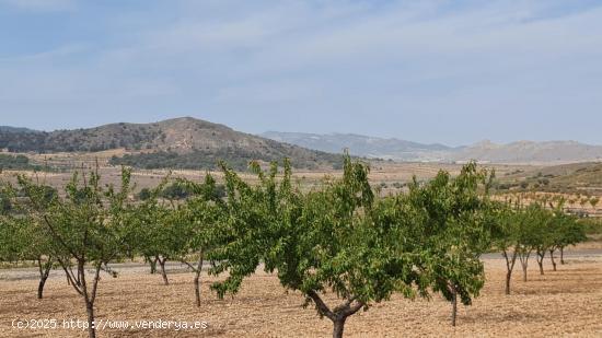 Se Vende en Algueña - ALICANTE