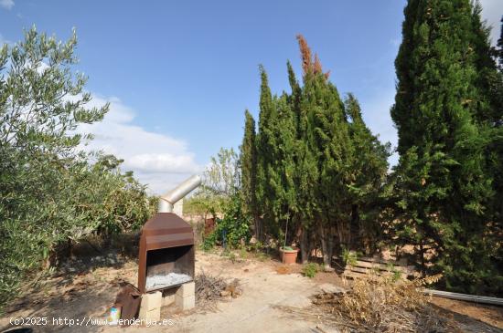 Se Vende en Jumilla - MURCIA