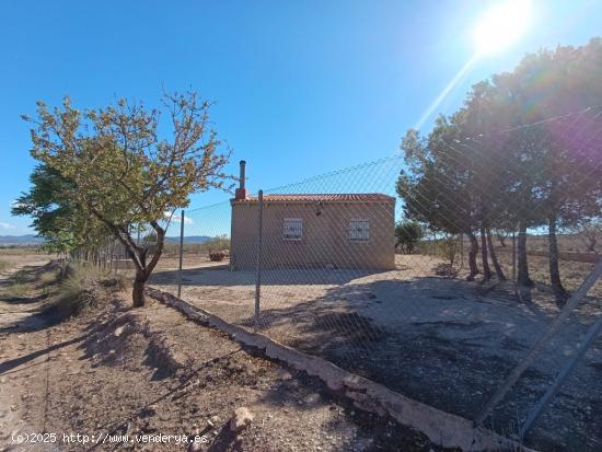 Se Vende en Jumilla - MURCIA