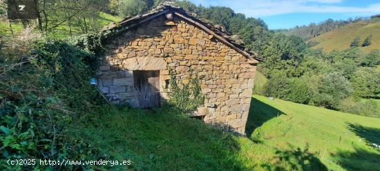 PRECIOSA CABAÑA PASIEGA EN SELAYA - CANTABRIA