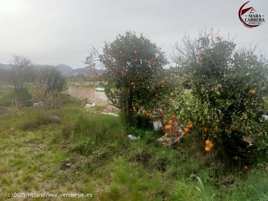 Suelo rústico en venta  en Oliva - València