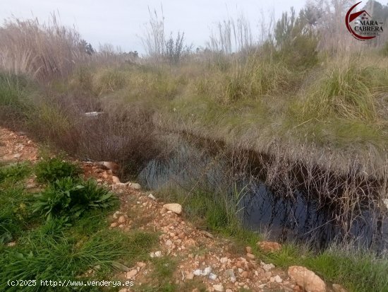 Suelo rústico en venta  en Oliva - València