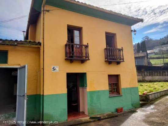  Casa-Chalet en Venta en Pola De Siero Asturias 