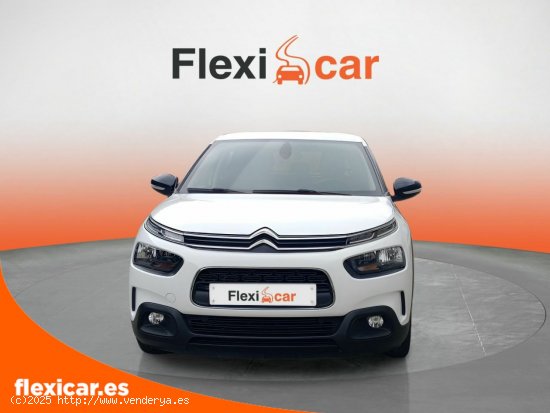 Citroën C4 Cactus BlueHDi 100 S&S Feel - Galdakao