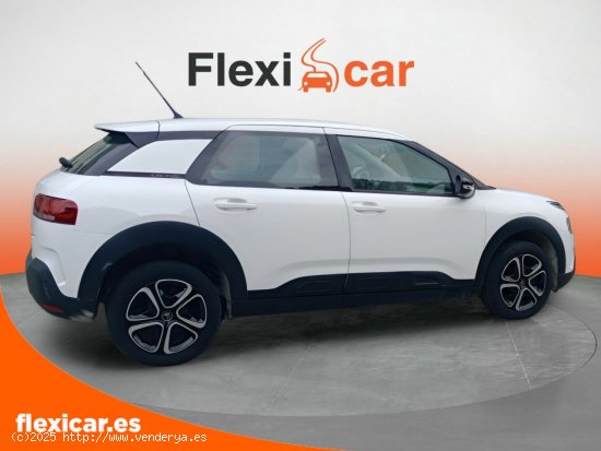 Citroën C4 Cactus BlueHDi 100 S&S Feel - Galdakao