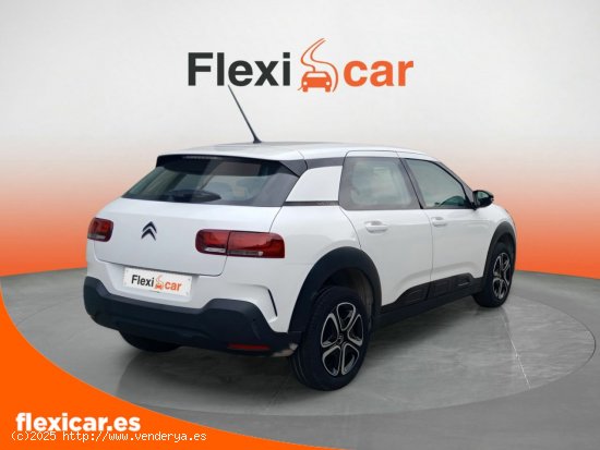 Citroën C4 Cactus BlueHDi 100 S&S Feel - Galdakao