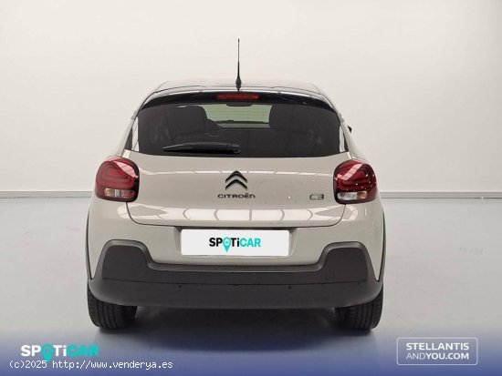 Citroën C3  BlueHDi 75KW (100CV) S&S Shine - Oleiros