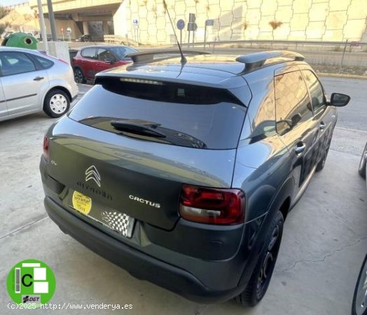 CITROEN C4 Cactus en venta en Murcia (Murcia) - Murcia