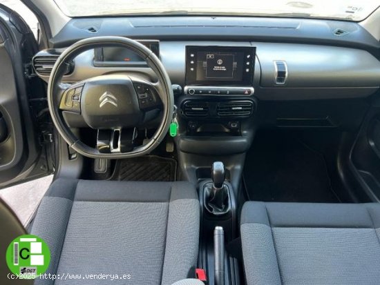 CITROEN C4 Cactus en venta en Murcia (Murcia) - Murcia