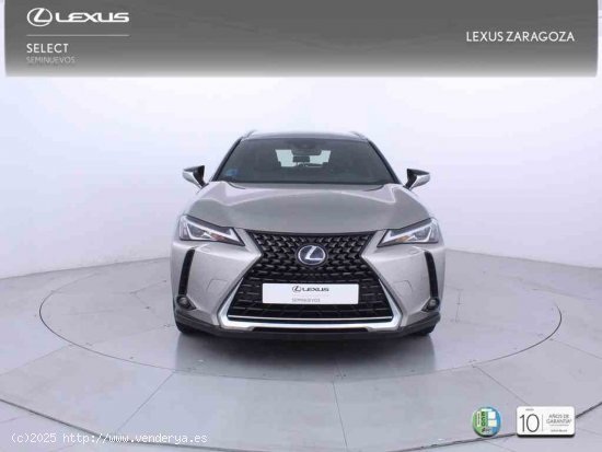 Lexus UX 2.0 250h Premium + Pack Boutique Select - Zaragoza