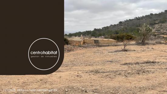  Terreno rustico con casita en el paraje protegido de la Cava en Hondón de las Nieves - ALICANTE 