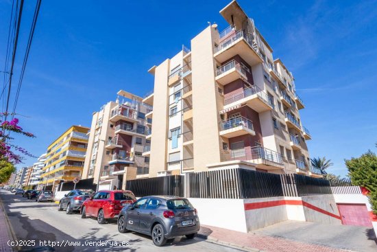 Apartamento en venta en Torrevieja (Alicante)