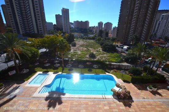  SE VENDE APARTAMENTO DE DOS DORMITORIOS CALA DE BENIDORM - ALICANTE 