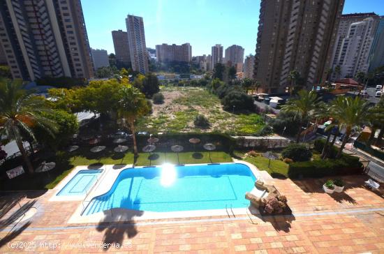 SE VENDE APARTAMENTO DE DOS DORMITORIOS CALA DE BENIDORM - ALICANTE