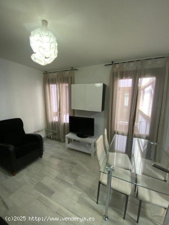 Apartamento en alquiler en Granada (Granada)