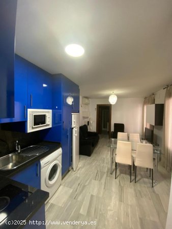 Apartamento en alquiler en Granada (Granada)