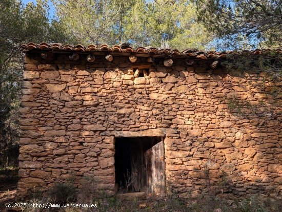 Finca en venta en Ráfales (Teruel)