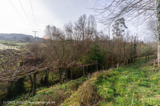 FINCA RUSTICA EN ARGUERO ( VILLAVICIOSA) - ASTURIAS