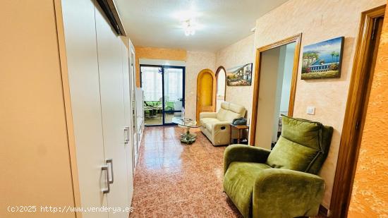 Bonito apartamento en Torrevieja - ALICANTE