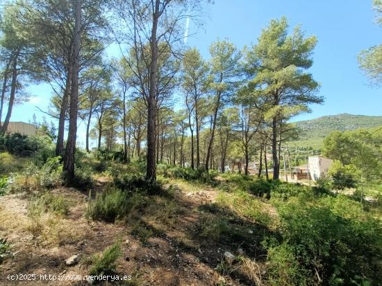 ¡Oportunidad en Les Palmeres, frente al futuro Natura Park! - BARCELONA