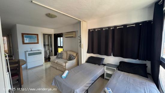 Apartamento a 100 metros de la playa de levante Benidorm! www.euroloix.com - ALICANTE