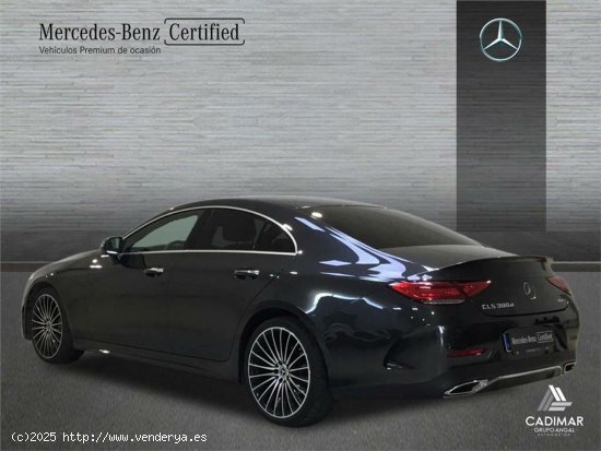 Mercedes Clase CLS 300 d 4MATIC - Jerez de la Frontera