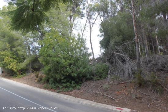 parcela en urbanización tranquila y exclusiva - ALICANTE