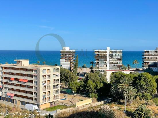 ¡IMPRESIONANTE PISO CON VISTAS AL MAR EN EL PAU 5! EL HOGAR QUE SIEMPRE HAS SOÑADO - ALICANTE