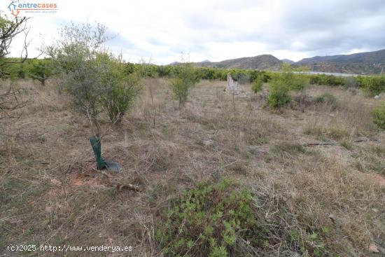 TERRENO RUSTICO EN VALL D'UIXÓ - CASTELLON