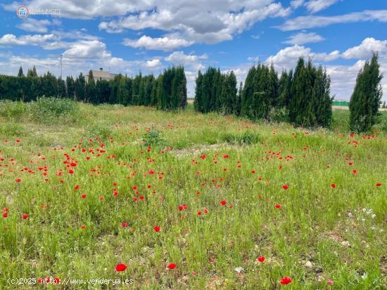  API LUNA INMOBILIARIA VENDE TERRENO URBANO - ALBACETE 