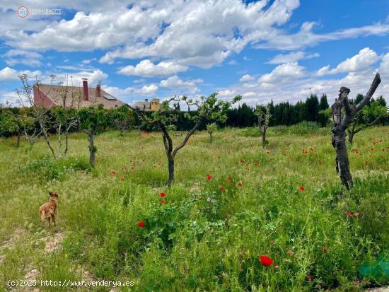 API LUNA INMOBILIARIA VENDE TERRENO URBANO - ALBACETE