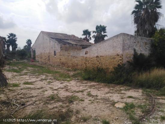 Casa de campo , zona Carretera dolores, 200 m.de casa - ALICANTE