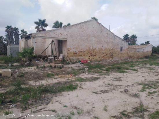 Casa de campo , zona Carretera dolores, 200 m.de casa - ALICANTE