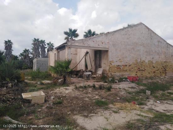 Casa de campo , zona Carretera dolores, 200 m.de casa - ALICANTE