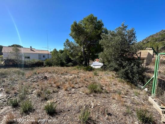 TERRENO URBANO EN EL NOU VENDRELL - TARRAGONA