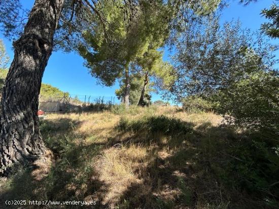 TERRENO URBANO EN EL NOU VENDRELL - TARRAGONA