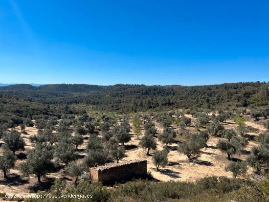 Finca en venta en Calaceite (Teruel)