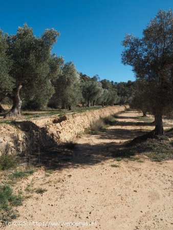 Finca en venta en Calaceite (Teruel)