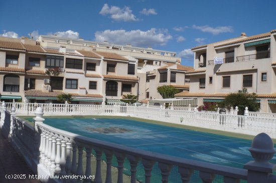 Casa en alquiler en Guardamar del Segura (Alicante)