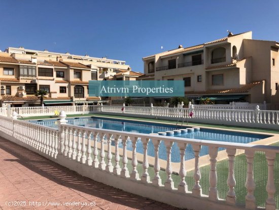 Casa en alquiler en Guardamar del Segura (Alicante)