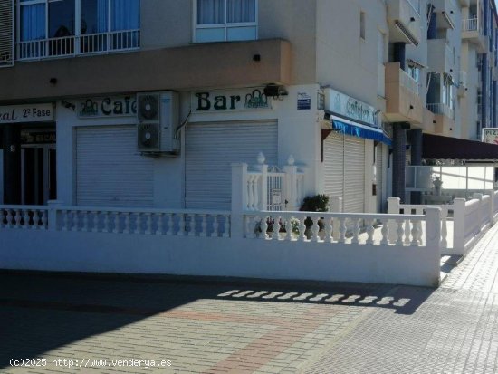  Local en venta en Guardamar del Segura (Alicante) 