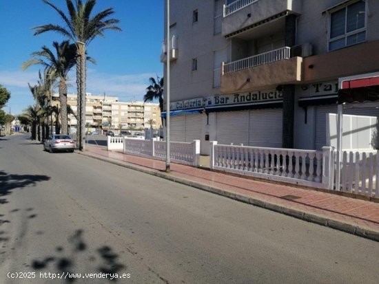 Local en venta en Guardamar del Segura (Alicante)