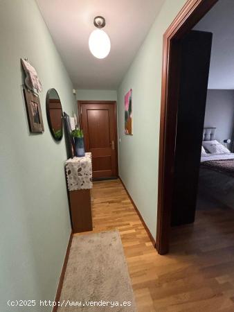 APARTAMENTO BAJO CON TERRAZA PATIO - VILLARRODRIGO DE LAS REGUERAS - LEON