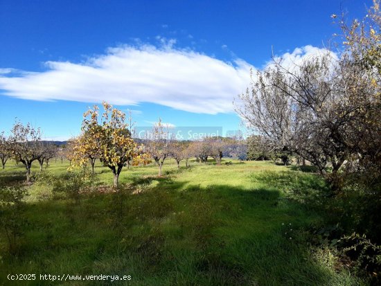 Finca en venta en Ontinyent (Valencia)