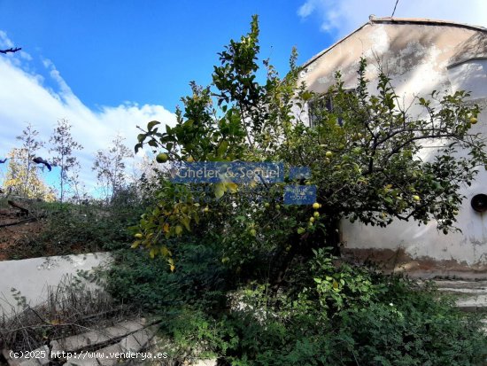 Finca en venta en Ontinyent (Valencia)