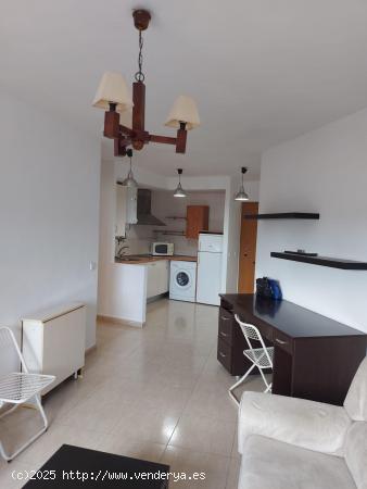  APARTAMENTO CERCA UCAM - MURCIA 