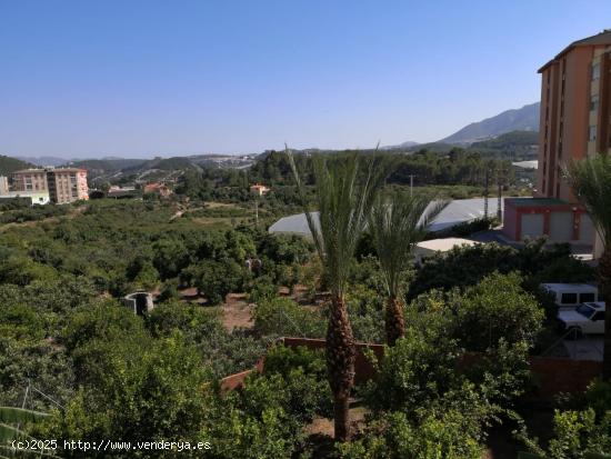 Oportunida única en Callosa de Ensarriá - ALICANTE