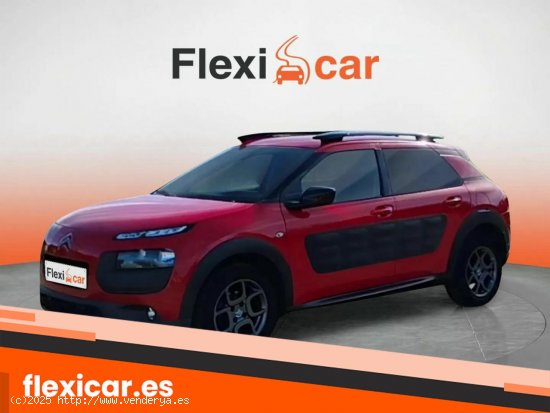 Citroën C4 Cactus PureTech 110cv S&S Feel Edition - Asturias