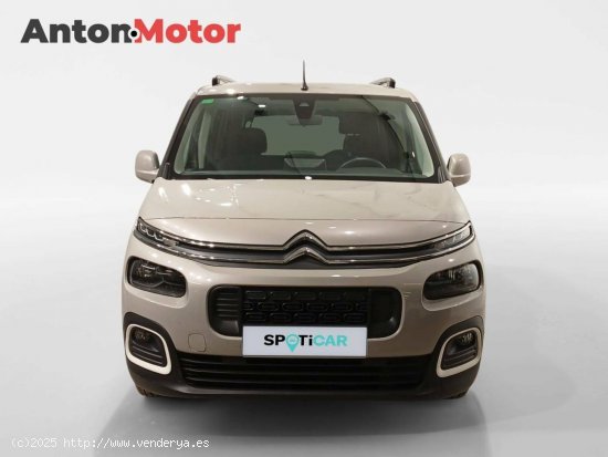 Citroën Berlingo  Talla M BlueHDi 130 S&S 6v 100 AÑOS 100 Años - VITORIA